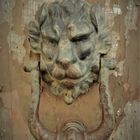 Check Point C....Cat & Cat: A handle with a lion's head - Photo no. 8