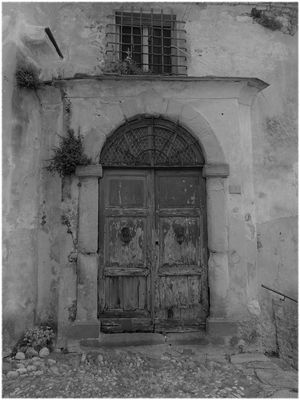 Check Point C....Cat & Cat: a new door - Photo no. 6