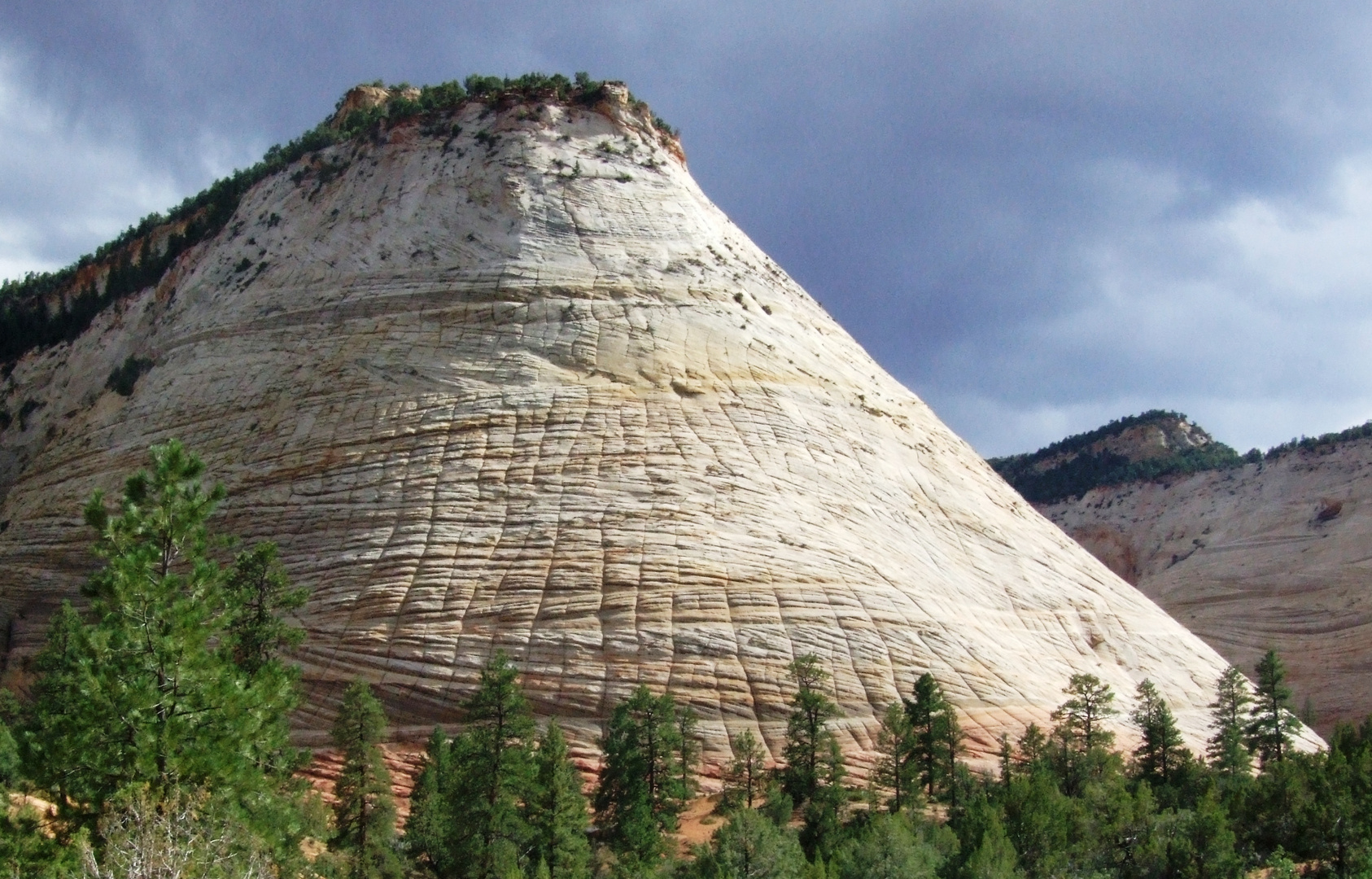 Checker Board Mesa, Zion NP (Utah)