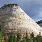 Checker Board Mesa, Zion NP (Utah)