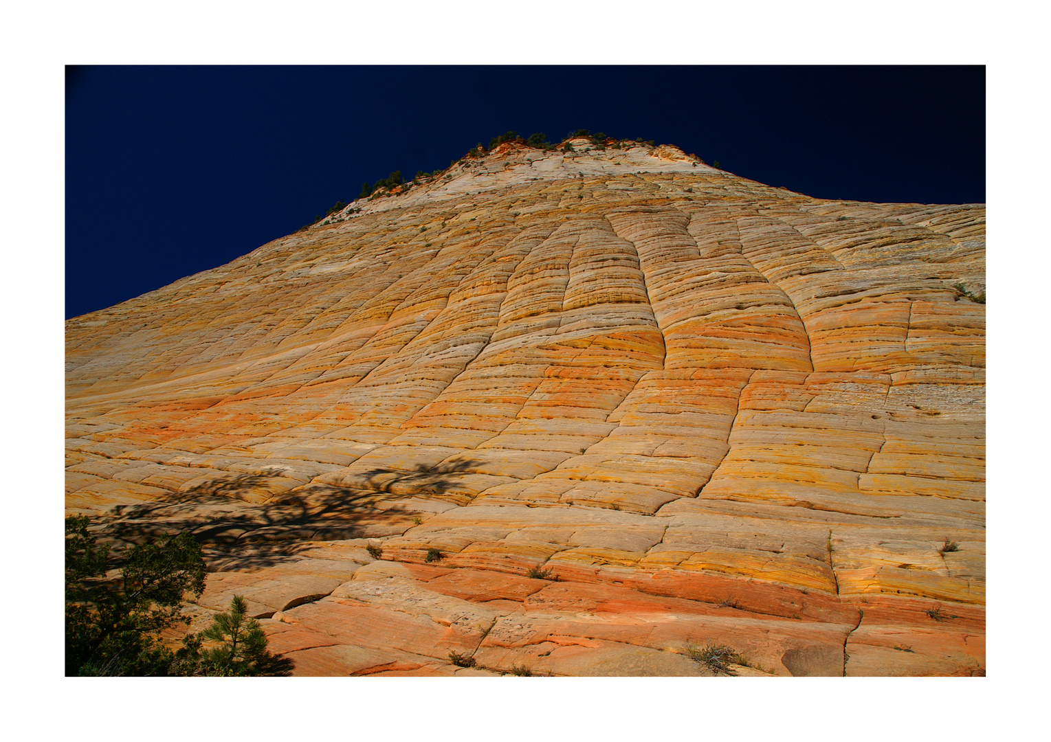 Checkerboard Mesa