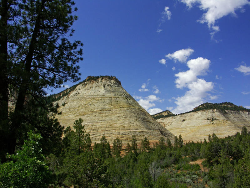 Checkerboard Mesa