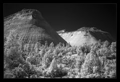 Checkerboard Mesa