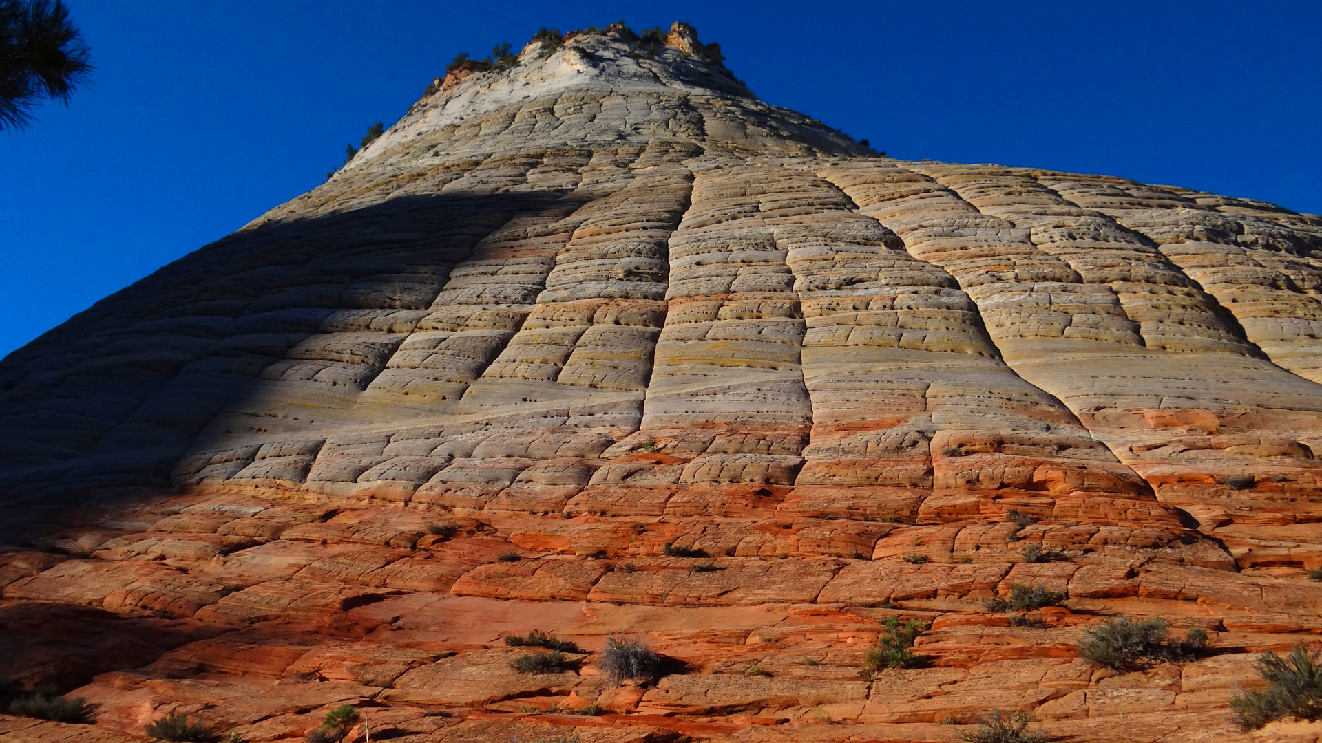 Checkerboard Mesa