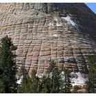 "Checkerboard Mesa" im Zion NP mit etwas Schnee