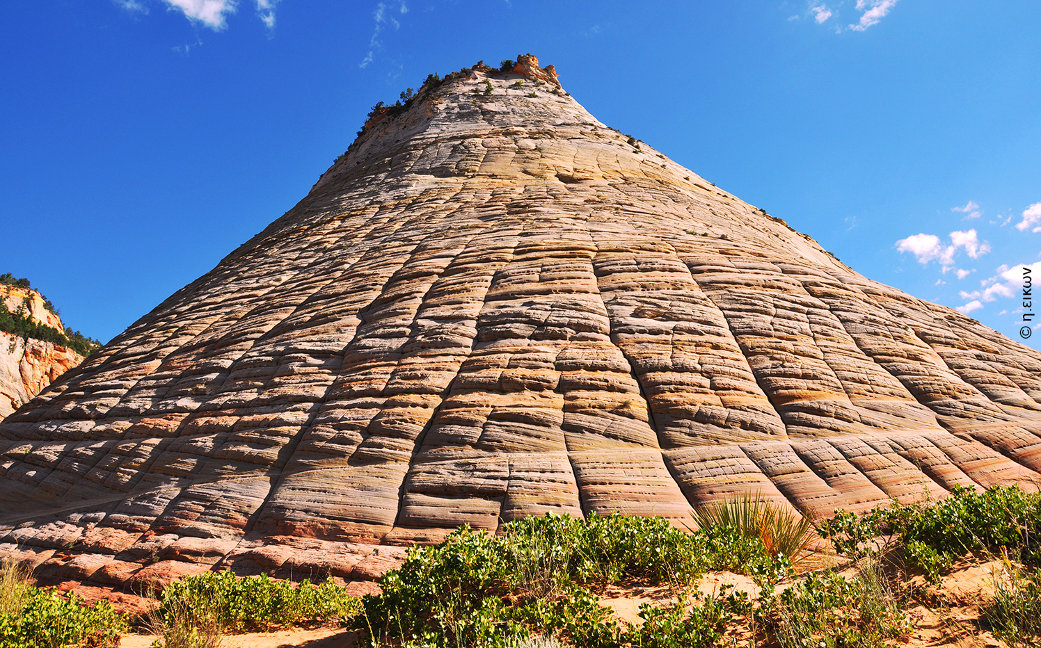 Checkerboard Mesa Zion National Park