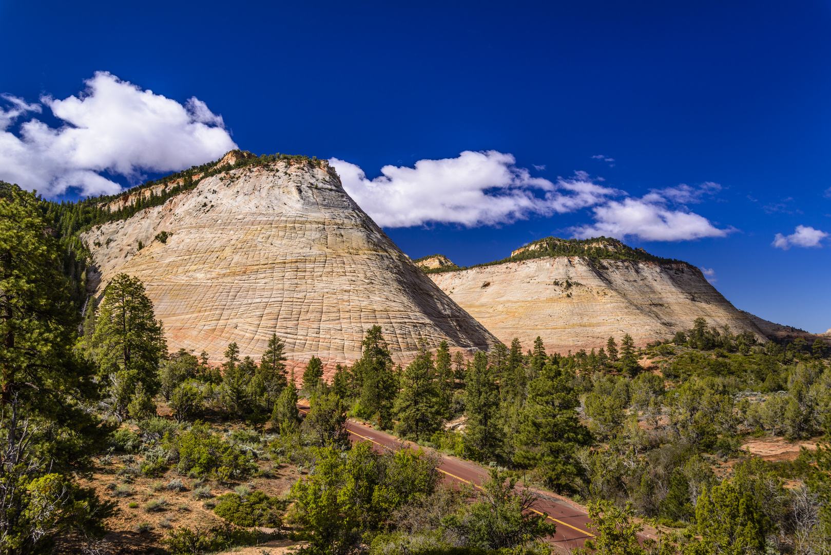 Checkerboard Mesa, Zion NP, Utah, USA