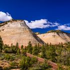 Checkerboard Mesa, Zion NP, Utah, USA