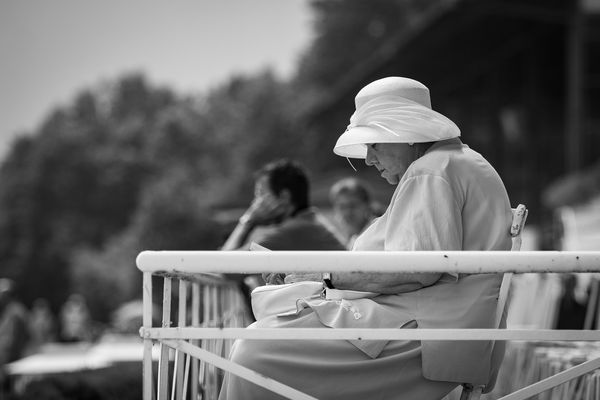 Checking the betting slip ...