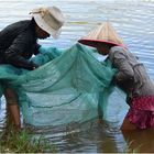 Checking the Catch