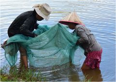 Checking the Catch