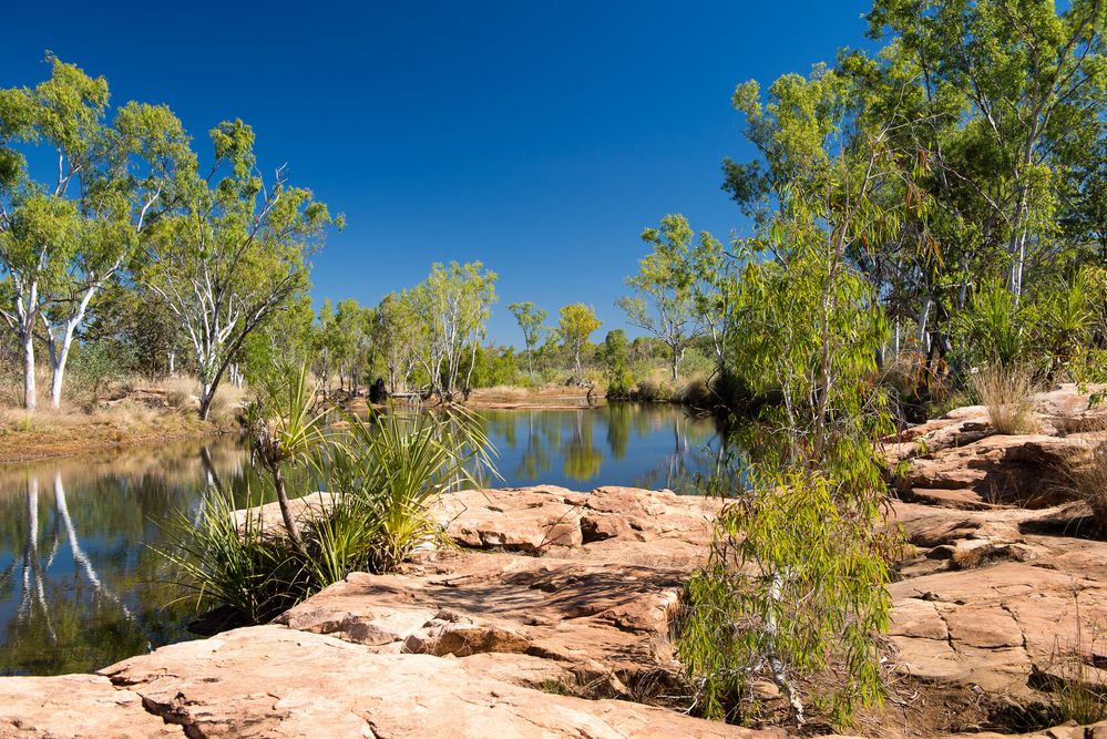 Cheese Tin Creek - ein verstecktes Juwel (West-Australien)