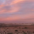 *** Cheetima Beach desert Conservation Park ***