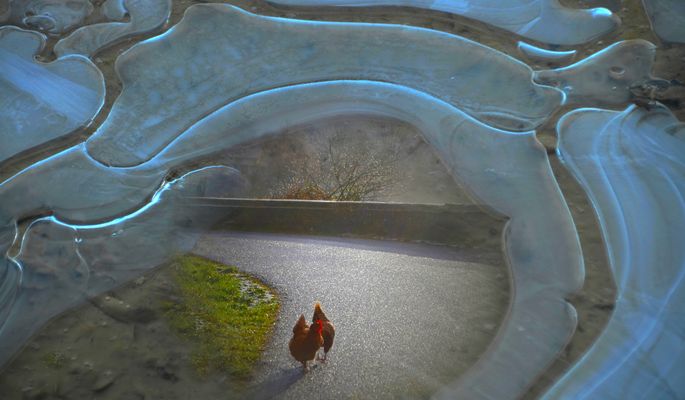 * Chef d'oeuvre en péril *