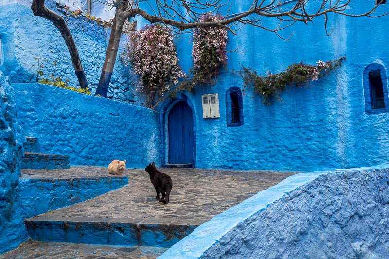 Chefchaouen - die Blaue Perle Nord-Marokkos