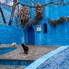 Chefchaouen - die Blaue Perle Nord-Marokkos
