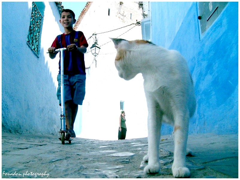 Chefchaouen, la source bleue