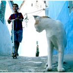 Chefchaouen, la source bleue