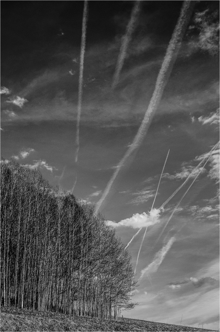 Chem-Trail Frühling