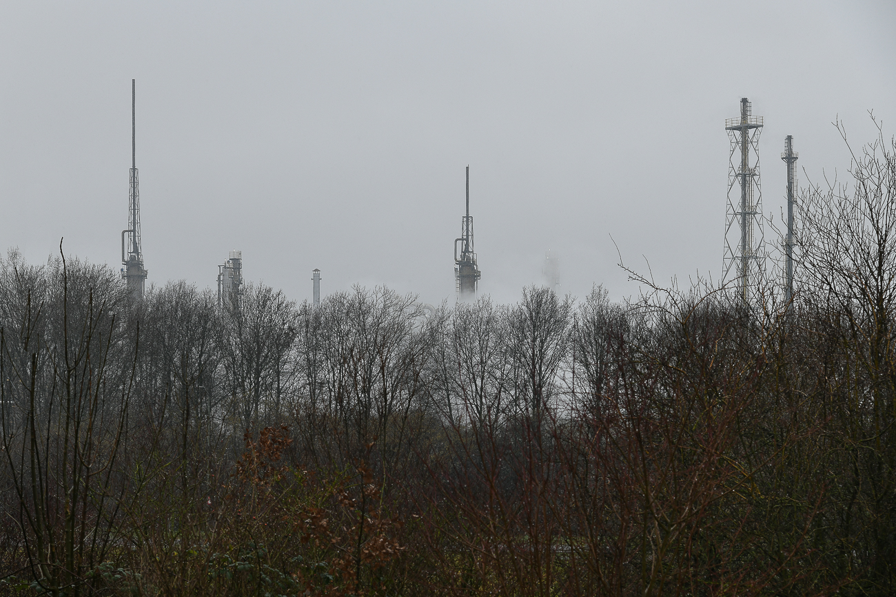  Chemiefabrik im nebligen Wald- Geleen (NL)