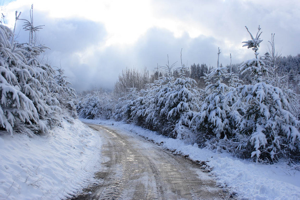 chemin