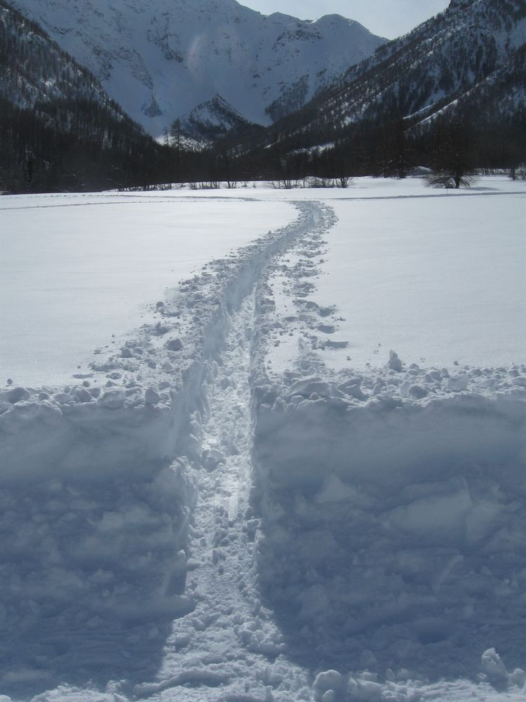 ...Chemin à suivre, pour rentrer au village....