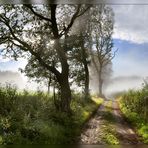 Chemin Ardennais.