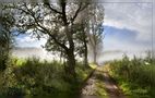 Chemin Ardennais. de Francis Vanderveken 