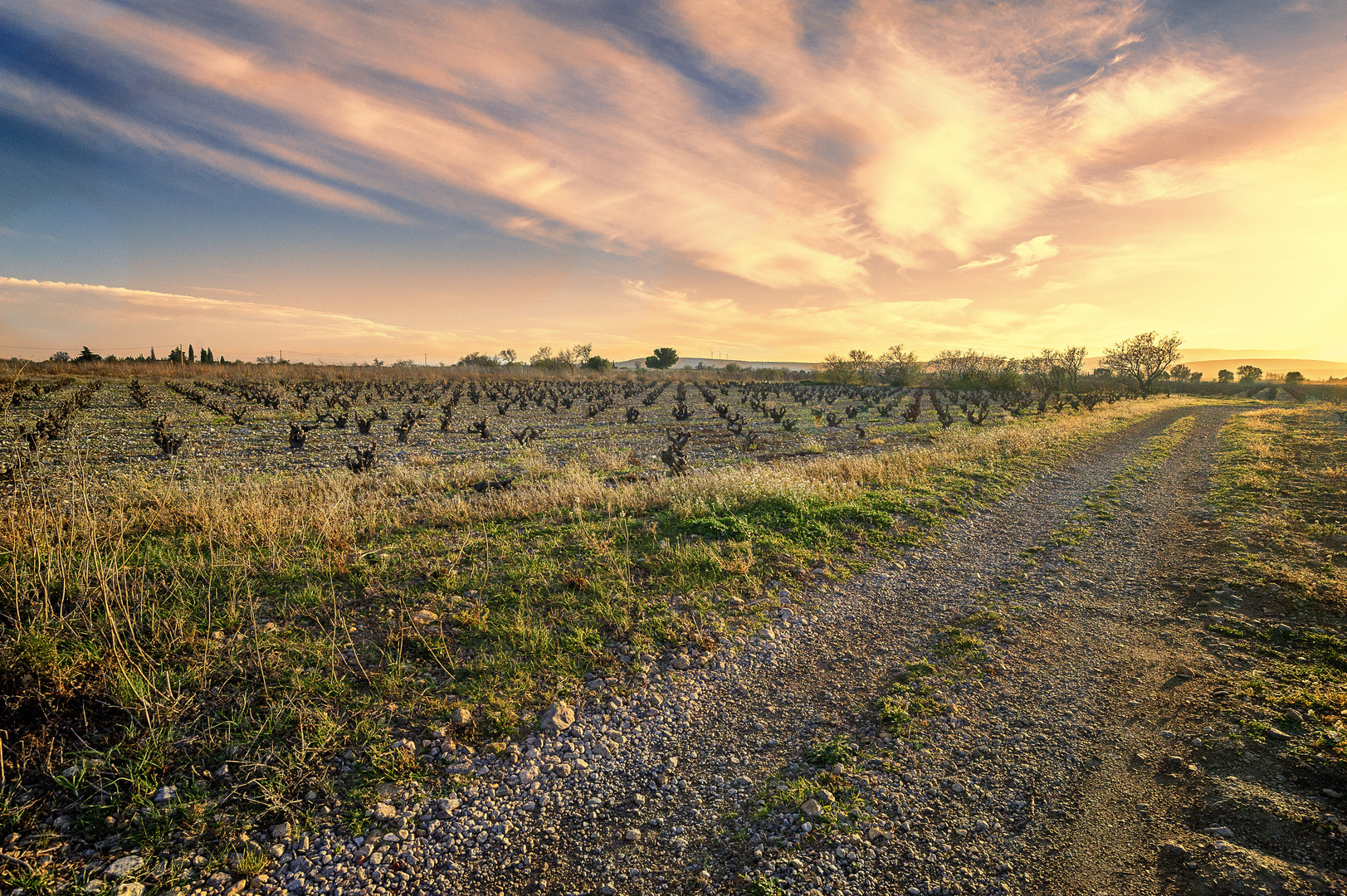 chemin au coucher de soleil