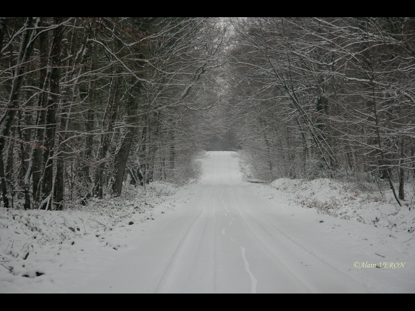Chemin blanc photo et image | les saisons, hiver, nature ...