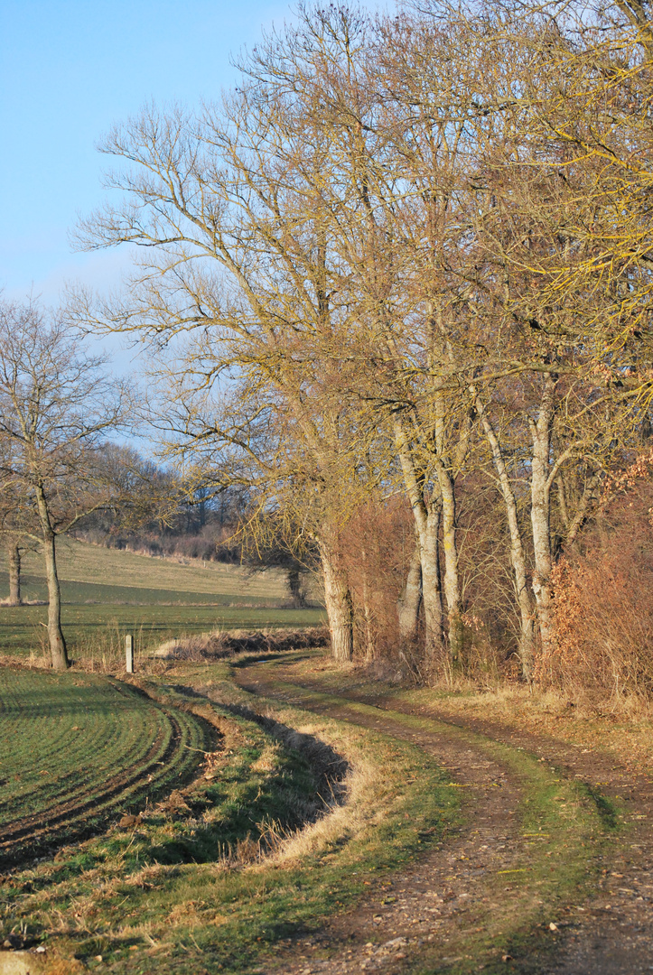 CHEMIN