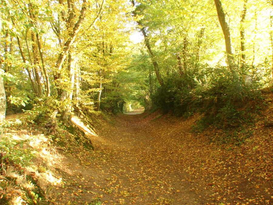 Chemin communale