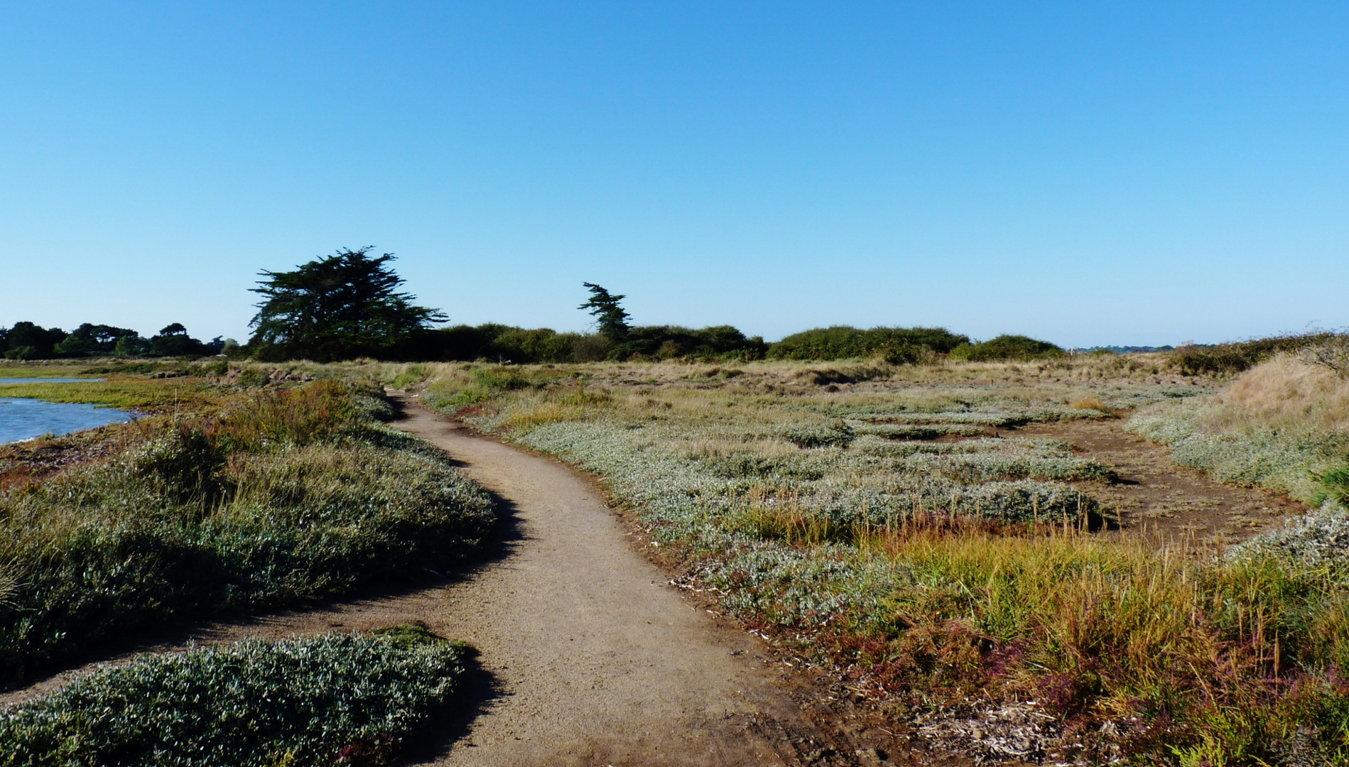 chemin côtier sur l'Ile d'Artz (golfe du Morbihan)