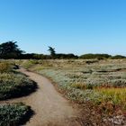 chemin côtier sur l'Ile d'Artz (golfe du Morbihan)