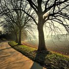 chemin courbé