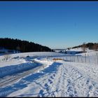 chemin dans la neige