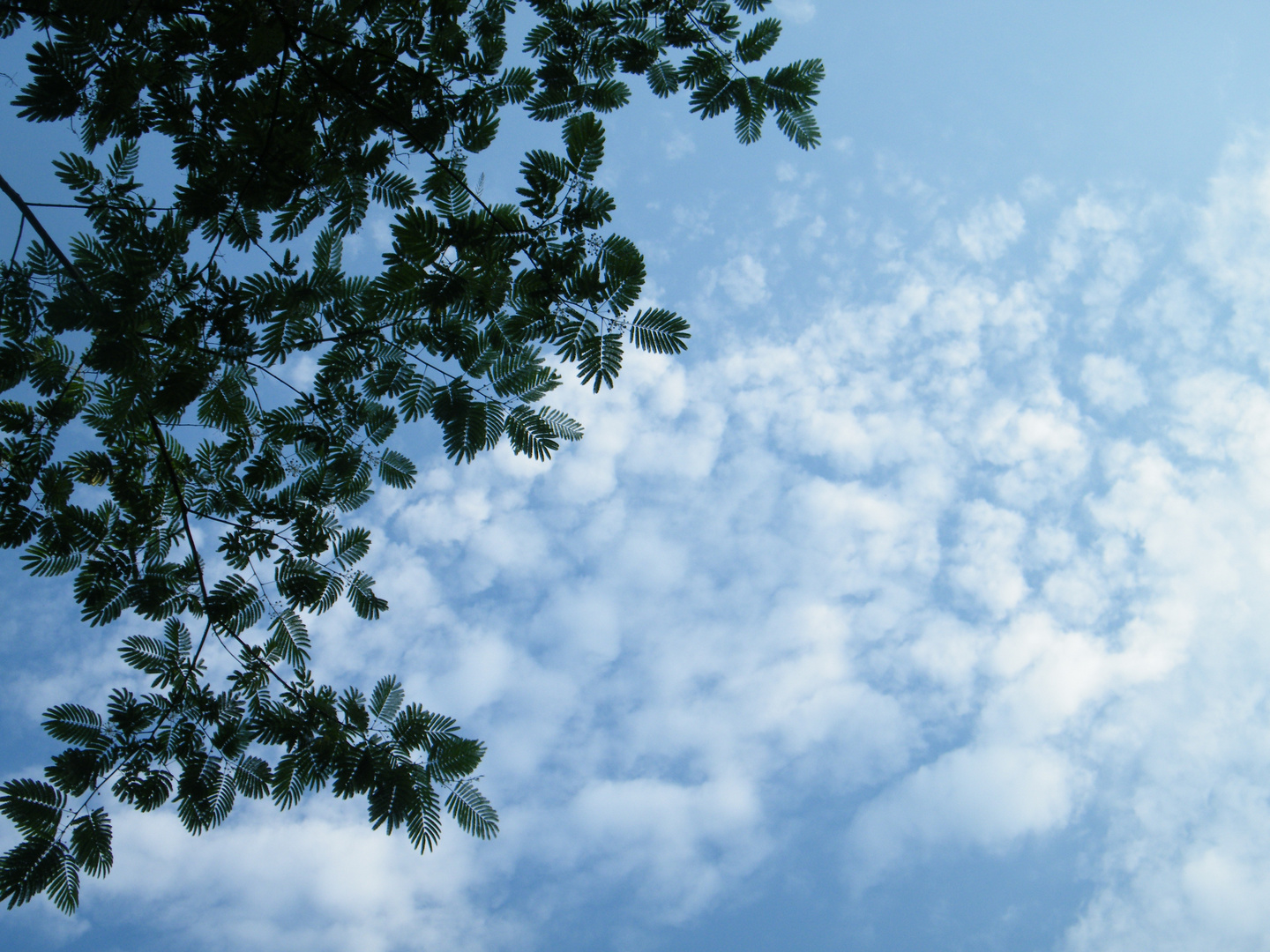 chemin dans les nuages