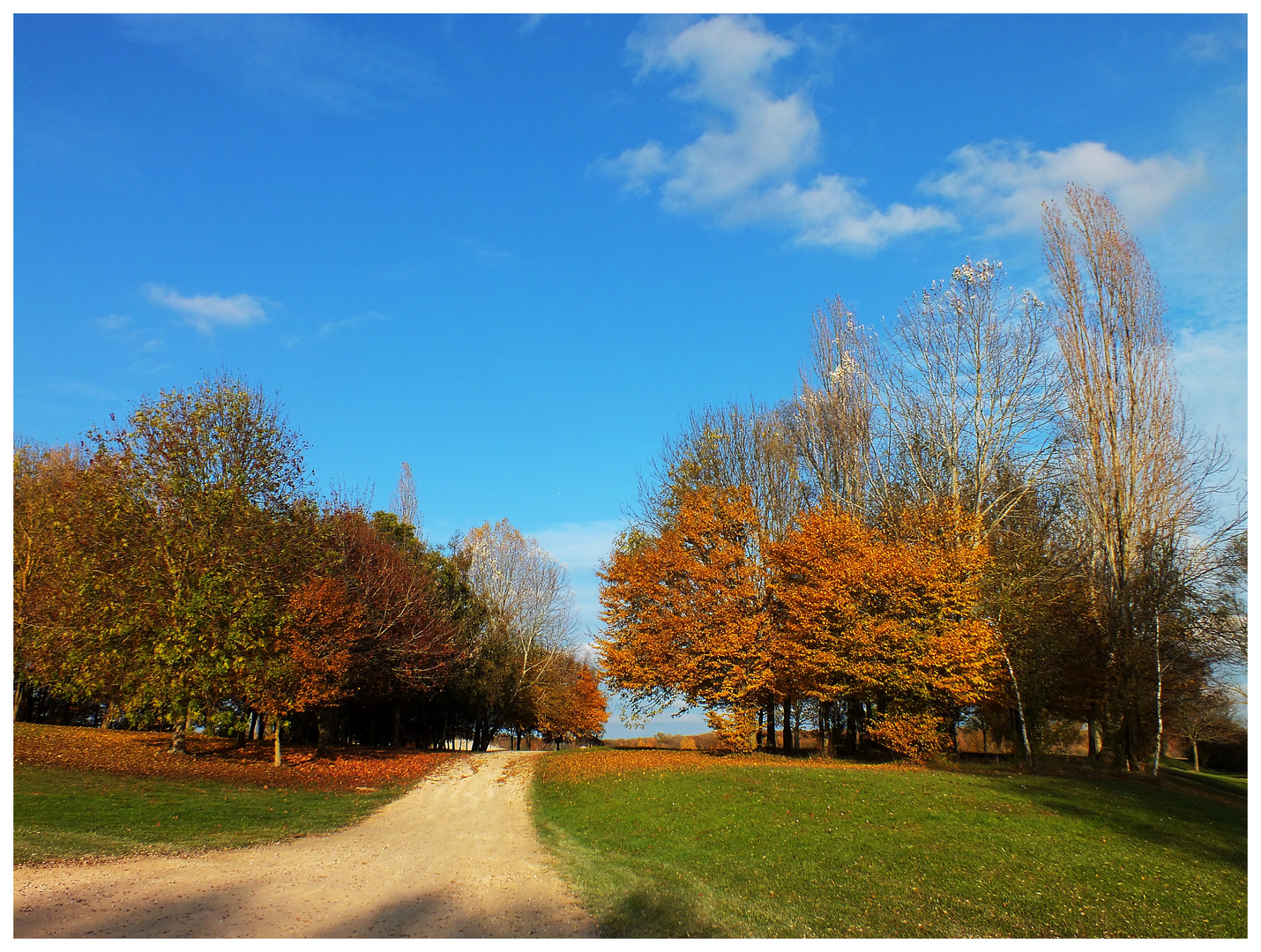 Chemin d'automne