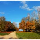 Chemin d'automne