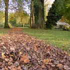 Chemin d'automne