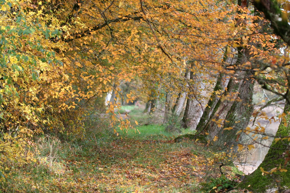 chemin d'automne von Ptite Dédé 