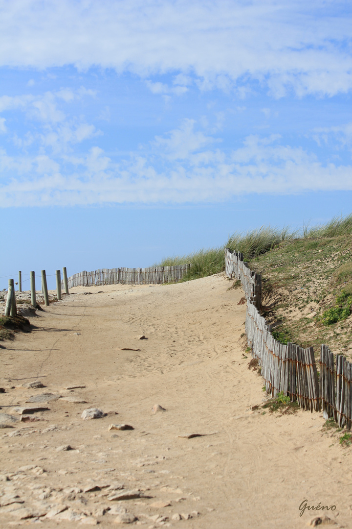 chemin de bord de mer