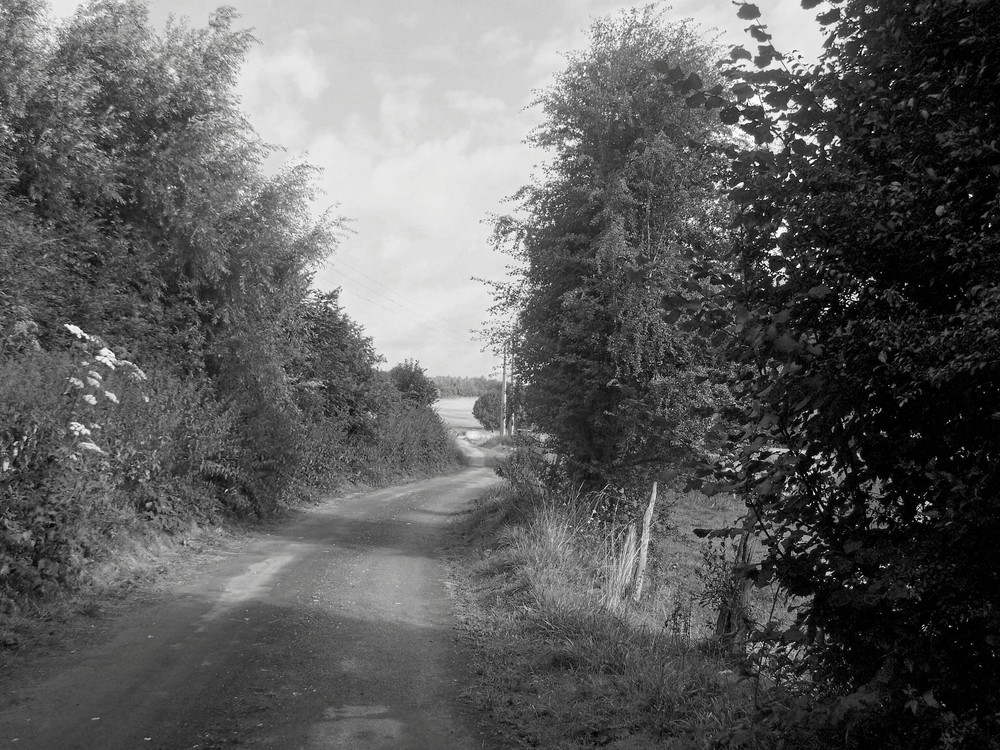 chemin de campagne