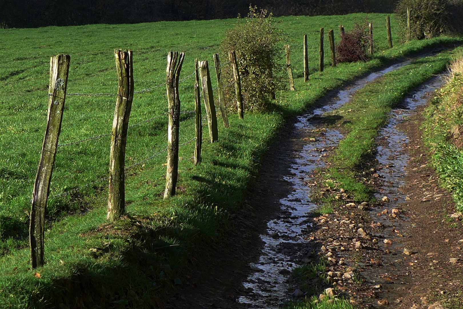 Chemin de campagne