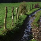 Chemin de campagne