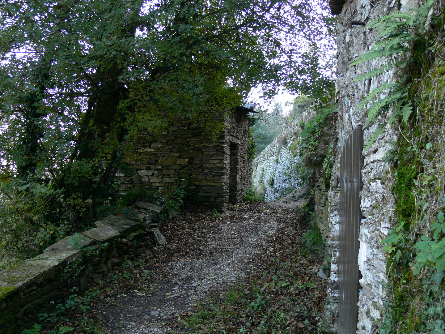 Chemin de campagne