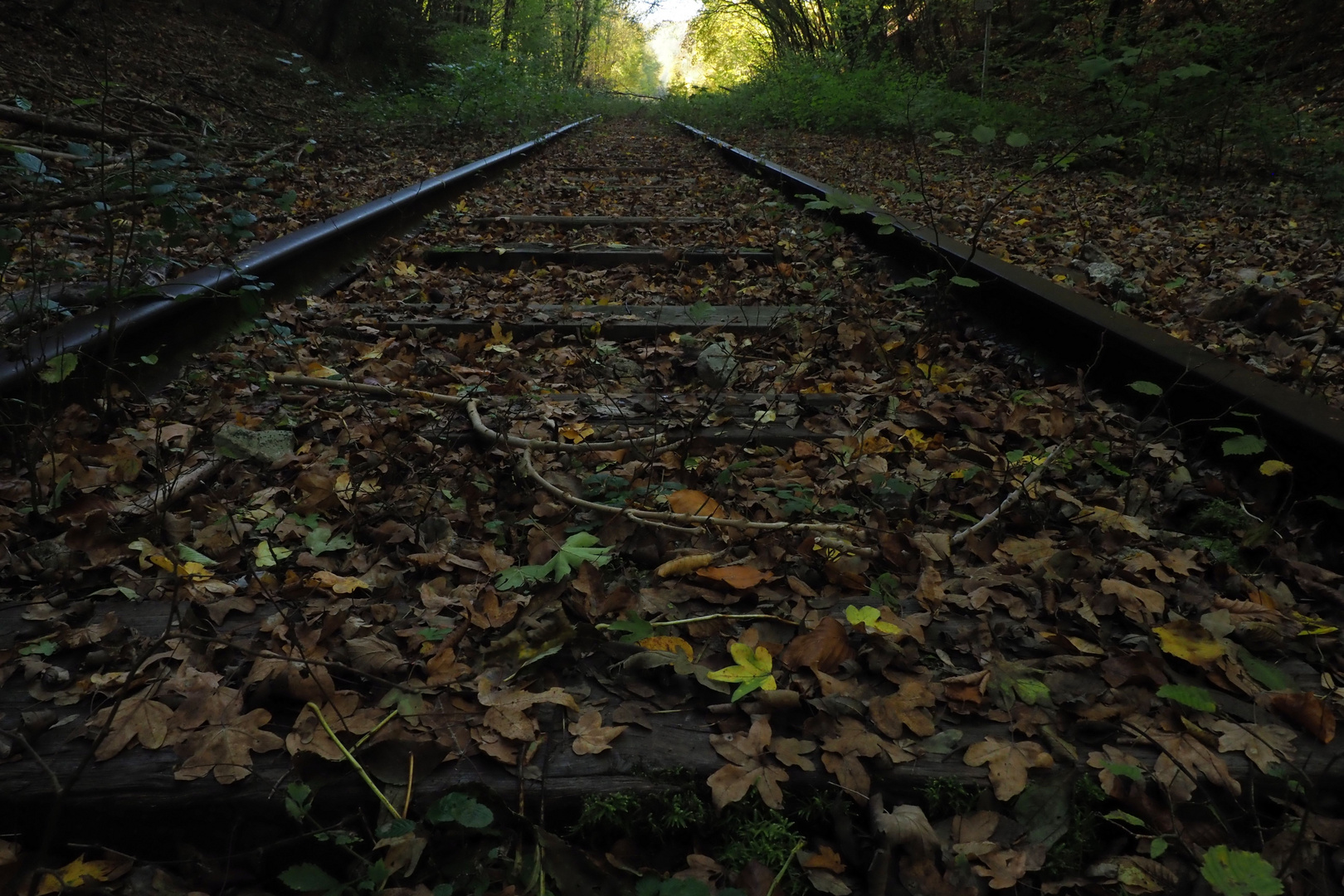 Chemin de fer automnal