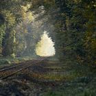 Chemin de fer forestier