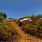 Chemin de garrigue