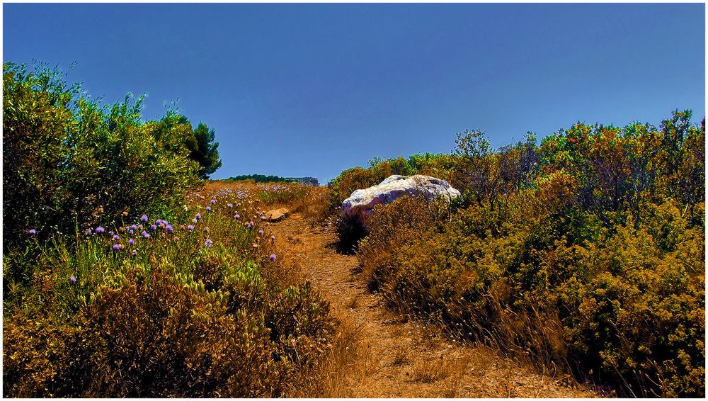 Chemin de garrigue